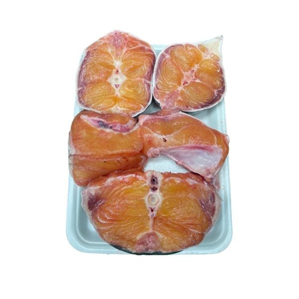 নদীর বড় বাঘা আইড় মাছের ভাগা